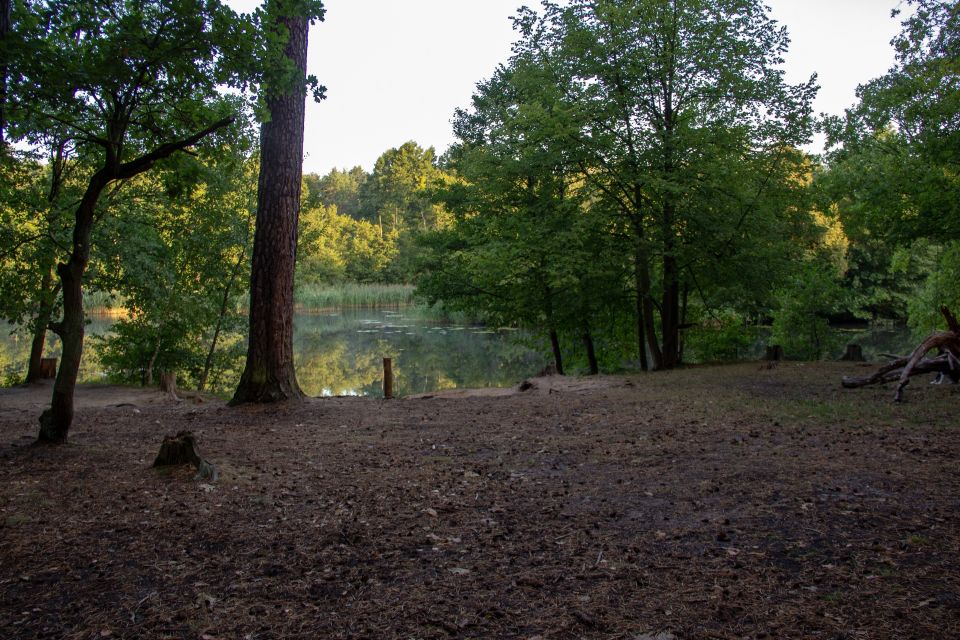 Badestelle Rosenbeck, Foto: ScottyScout